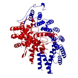 Image of CATH 1ld7