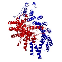 Image of CATH 1ld8