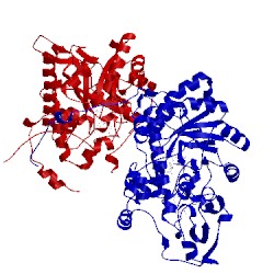 Image of CATH 1ldc