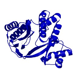 Image of CATH 1lfp