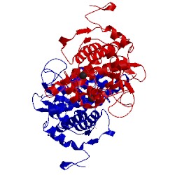 Image of CATH 1lga