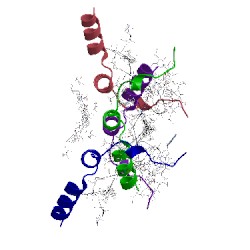 Image of CATH 1lgh