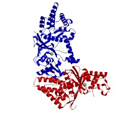 Image of CATH 1li5