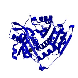 Image of CATH 1lik