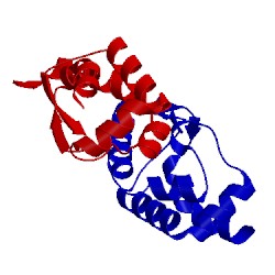 Image of CATH 1ljp