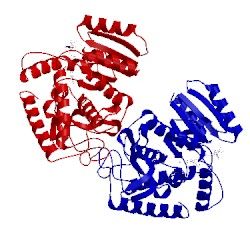 Image of CATH 1lld