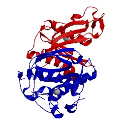 Image of CATH 1lm4