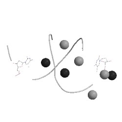 Image of CATH 1lnt