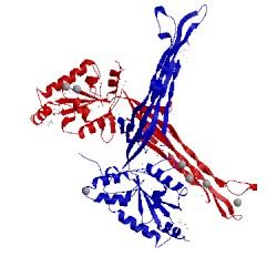 Image of CATH 1lnz