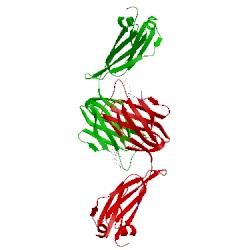 Image of CATH 1lo0