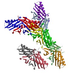 Image of CATH 1lql