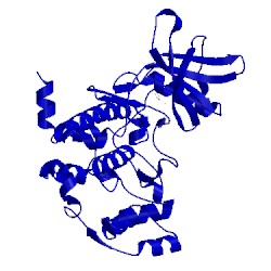 Image of CATH 1lr4