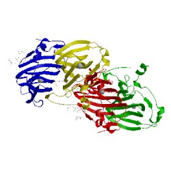Image of CATH 1lr5