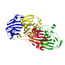 Image of CATH 1lrh