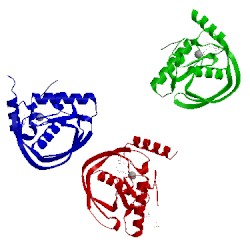 Image of CATH 1lru