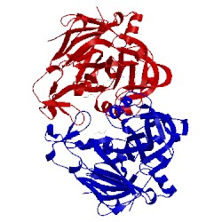 Image of CATH 1ls5