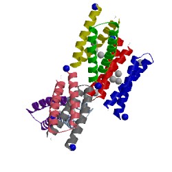 Image of CATH 1lt1