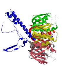 Image of CATH 1lt4