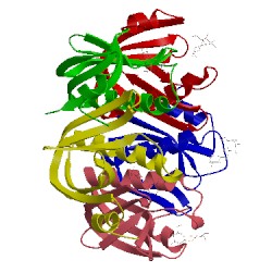 Image of CATH 1lt5