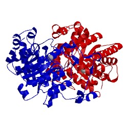 Image of CATH 1lt8