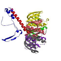 Image of CATH 1lts