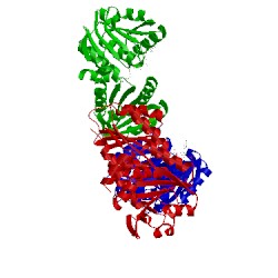 Image of CATH 1lua