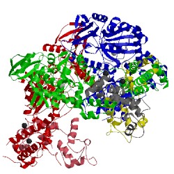 Image of CATH 1lvc