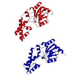 Image of CATH 1lvh