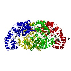 Image of CATH 1lw5