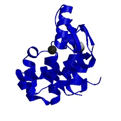 Image of CATH 1lw9