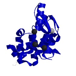Image of CATH 1lwg