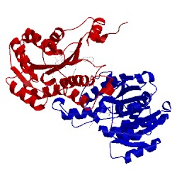 Image of CATH 1lxc