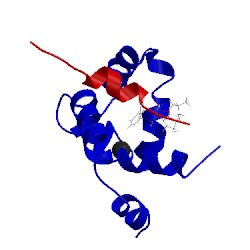 Image of CATH 1lxf