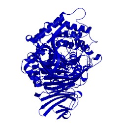 Image of CATH 1lxk