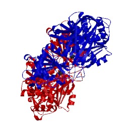 Image of CATH 1lxt