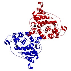 Image of CATH 1lyc