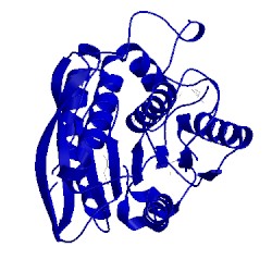 Image of CATH 1lzk