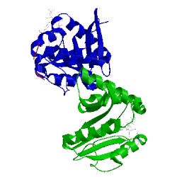 Image of CATH 1m1d