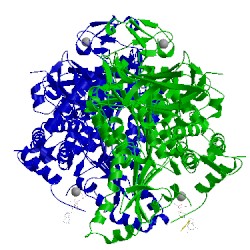 Image of CATH 1m2o