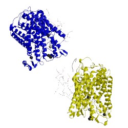 Image of CATH 1m57