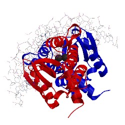 Image of CATH 1m5x