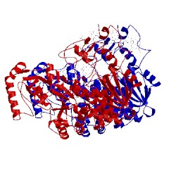 Image of CATH 1m64