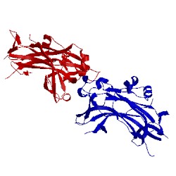Image of CATH 1m7u