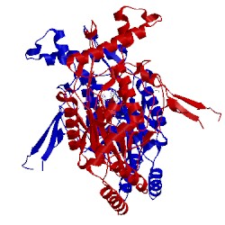 Image of CATH 1m8e