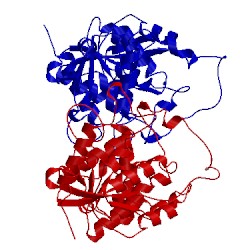 Image of CATH 1mc8