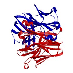 Image of CATH 1mcn