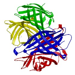Image of CATH 1mep