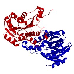 Image of CATH 1mfp