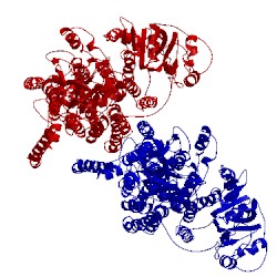 Image of CATH 1mhs