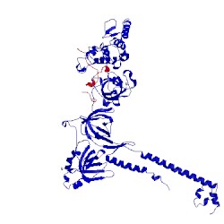 Image of CATH 1miu